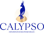 Calypso