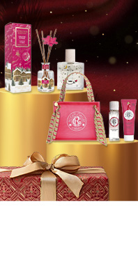 Générateur d'idées cadeaux