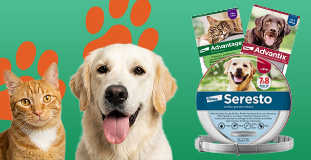 Découvrez notre sélection de produits vétérinaires