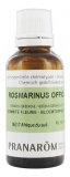 Pranarôm Organic Essential Oil Verbenone Rosemary (Rosmarinus officinalis CT verbenone) 30 ml