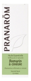 Pranarôm Essential Oil Cineole Rosemary (Rosmarinus officinalis CT cineole) 10 ml
