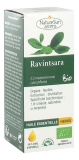 NatureSun Aroms Olio Essenziale di Ravintsara (Cinnamomum Camphora) Biologico 10 ml