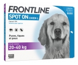 Frontline Dog L (20-40 kg) 4 Pipety