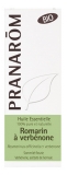 Pranarôm Bio Essential Oil Verbenone Rosemary (Rosmarinus officinalis CT verbenone) 5 ml