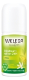 Weleda Desodorizante de Cítricos Roll-on 24H 50 ml