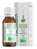 Aromaya Økologisk Æterisk Olie Eucalyptus Globulus 10 ml