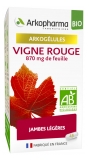 Arkopharma Arkogélules Vigne Rouge Bio 45 Gélules