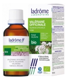 Ladrôme Organiczny Ekstrakt Roślinny Valerian Officinale 50 ml