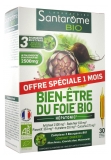 Santarome Bio Bien-Être du Foie Bio 30 Ampoules