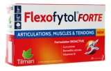 Tilman Flexofytol Forte 28 Tabletek