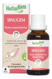 HerbalGem Sinugem Bio 30 ml