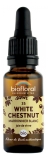 Biofloral Bachblüten 35 White Chestnut Bio 20 ml