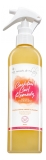 Les Secrets de Loly Spray Hydratant Cocktail Curl Remedy 310 ml