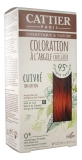 Cattier Kit Coloration Capillaire à l\'Argile