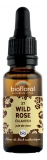 Biofloral Bach Flower Remedies 37 Dzika Róża Organic 20 ml