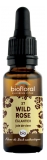 Biofloral Bachblüten 37 Wild Rose Bio 20 ml