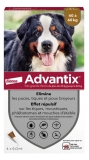 Advantix Velký pes 40 až 60 kg 4 Pipety