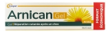 Arnican Gel 100g