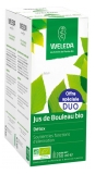 Weleda Jus de Bouleau Bio Lot de 2 x 250 ml