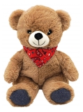 Peluche Osito de Peluche Cálido/frío