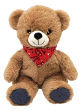 Plic Care Teddy Bear Warm/Cold Plush