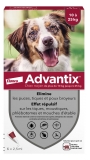 Advantix Chien Moyen 10 à 25 kg 6 Pipettes