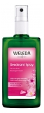 Weleda Dezodorant w Sprayu z Hiper Różą 100 ml