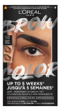 L'Oréal Paris Brow Color Semi-Permanent Eyebrow Colour 30 ml
