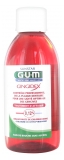 GUM Gingidex Traitement d\'Attaque Bain de Bouche 300 ml