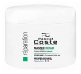 Pascal Coste Professional Repair Mask 500 ml