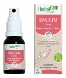 HerbalGem Sinugem Bio Purškalas 15 ml