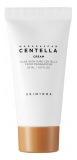 Skin 1004 Madagascar Centella Cream 30 ml