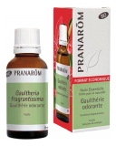Pranarôm Huile Essentielle Gaulthérie Odorante (Gaultheria fragrantissima) Bio 30 ml
