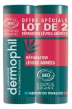 Dermophil Indien Reparación Labial Dañada Bio Stick Lote de 2 x 4 g