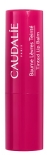 Caudalie Vinotherapist Getönter Lippenbalsam 4,5 g