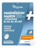 Vitavea Magnesium + Vitamine B1 B2 B6 24 Brausetabletten