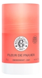 Roger & Gallet Fikonblomma Deodorant 24H 50 g