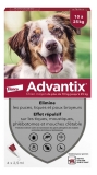 Advantix Vidutinis Šuo 10 iki 25 kg 4 Pipetės