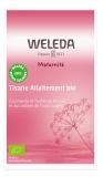 Weleda Zwangerschap Borstvoeding Kruidenthee Biologische Rode Vruchten en Frambozensmaak 20 Zakjes