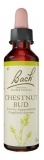 Flores de Bach Original Chestnut Bud 20 ml (a consumir de preferência antes de 31/07/2026)