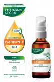 Phytosun Arôms Calophylla Plantenolie Biologisch 50 ml (ten minste houdbaar tot 30-09-2026)