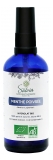 Salvia Nutrition Peppermint Organic 100 ml (najlepiej spożyć przed 30.09.2026)