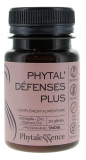 Phytalessence Phytal'Défenses Plus 30 Kapsulas (ieteicams izlietot līdz 31/10/2026)