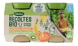 Blédina As Colheitas Bio Maçã Abacaxi + Maçãs Bananas Kiwis a partir dos 6 Meses Bio 4 Potes (a consumir de preferência...