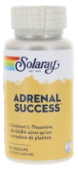 Solaray Adrenal Success 60 Kapsułek Roślinnych