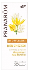Pranar&ocirc;m Os Difus&iacute;veis Bom Em Casa Bio 30 ml