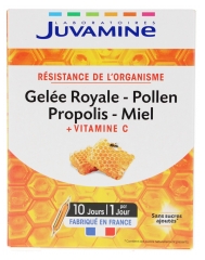 Juvamine Geleia Real P&oacute;len Pr&oacute;polis Mel + Vitamina C 10 Ampolas
