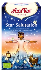 Yogi Tea Pozdrav Slunci Bio 17 s&aacute;čků