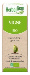 HerbalGem Organic Vine 30ml