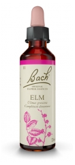 Fleurs de Bach Original Ulme 20 ml